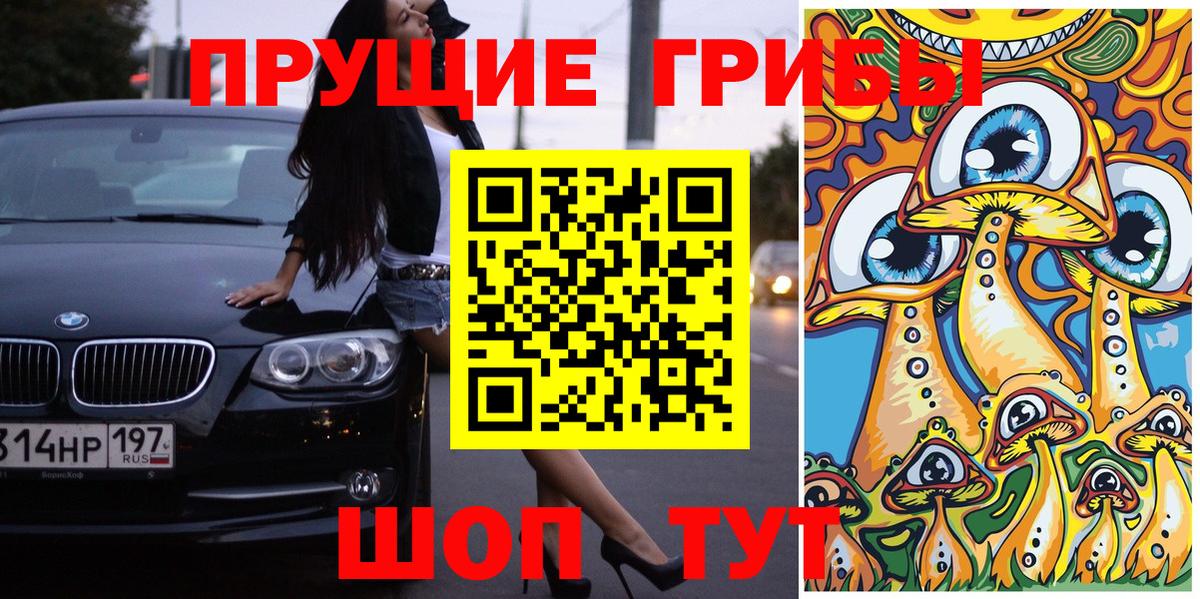 Галлюциногенные грибы прущие грибы  Вход с VPN  Галлюциногенные грибы Magic Shrooms  Сальск 